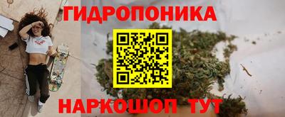 MDMA Краснознаменск