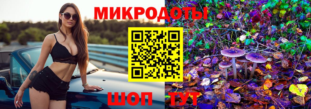 Галлюциногенные грибы Magic Shrooms Калининград