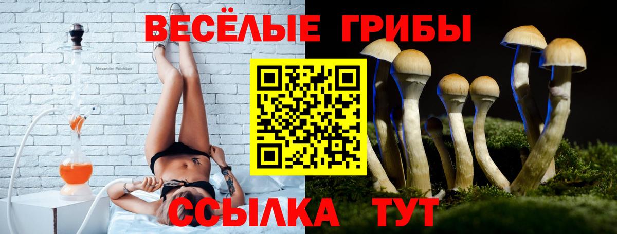 Калининград  купить наркотик  Вход с VPN  Псилоцибиновые грибы ЛСД 
